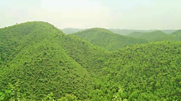 জীববৈচিত্র্য ফিরে পাচ্ছে গারো পাহাড়