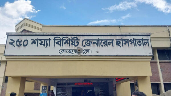 মেহেরপুরে পৃথক দুর্ঘটনায় নিহত-৩ 