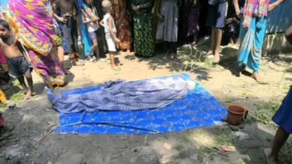 শেরপুর ঝিনাইগাতীতে বাস চাপায় বৃদ্ধ পথচারী নিহত