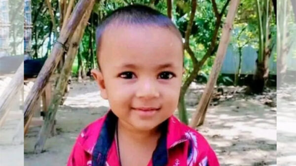 শেরপুরে ভিমরুলের কামড়ে শিশুর মৃত্যু