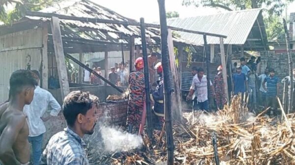 গড়েয়ায় আগ্নিকান্ডে পুড়ে ছাই তিন গরু, নিঃস্ব ভ্যানচালক