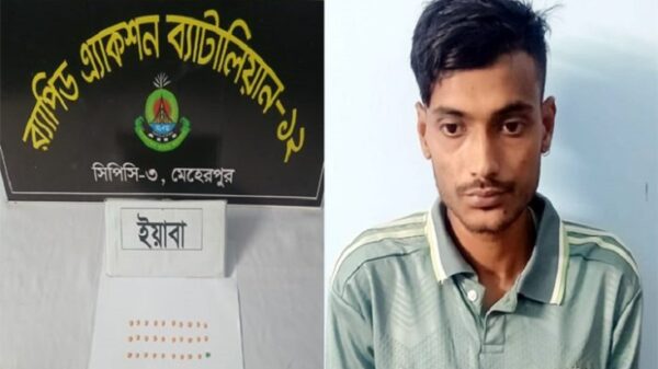 র‍্যাবের অভিযানে ২৯ পিস ইয়াবাসহ এক মাদককারবারী গ্রেফতার