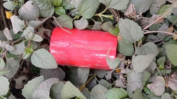 মুজিবনগরে বিএনপির নির্বাচনী অফিসের পাশ থেকে বোমা সদৃশ্য বস্তু উদ্ধার