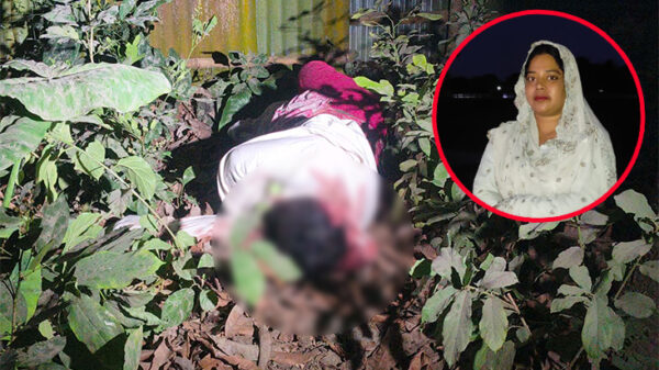 মেহেরপুরে নিখোঁজের সাত দিন পর বাড়ির পাশ থেকে গৃহবধূর মরদেহ উদ্ধার